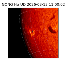 gong - 2026-03-13T11:00:02