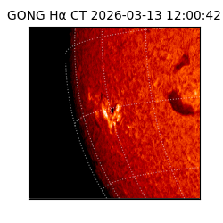 gong - 2026-03-13T12:00:42