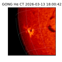 gong - 2026-03-13T18:00:42