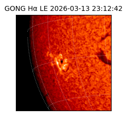 gong - 2026-03-13T23:12:42
