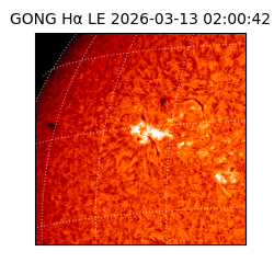 gong - 2026-03-13T02:00:42