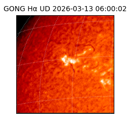 gong - 2026-03-13T06:00:02