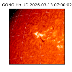 gong - 2026-03-13T07:00:02