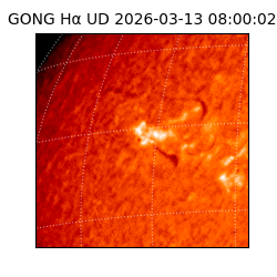 gong - 2026-03-13T08:00:02