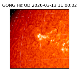 gong - 2026-03-13T11:00:02