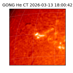 gong - 2026-03-13T18:00:42