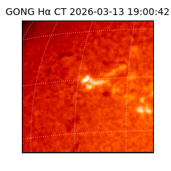 gong - 2026-03-13T19:00:42