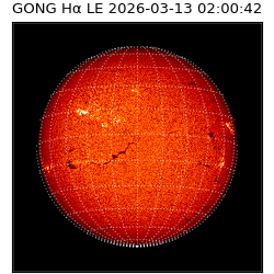 gong - 2026-03-13T02:00:42