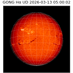 gong - 2026-03-13T05:00:02