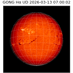 gong - 2026-03-13T07:00:02