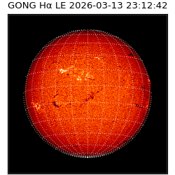 gong - 2026-03-13T23:12:42