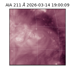 saia - 2026-03-14T19:00:09.622000