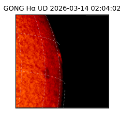 gong - 2026-03-14T02:04:02