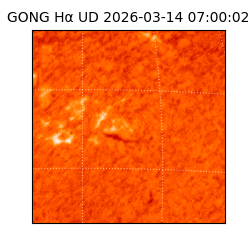 gong - 2026-03-14T07:00:02