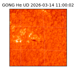 gong - 2026-03-14T11:00:02