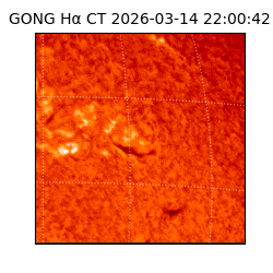 gong - 2026-03-14T22:00:42