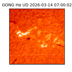 gong - 2026-03-14T07:00:02