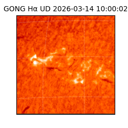 gong - 2026-03-14T10:00:02