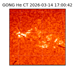 gong - 2026-03-14T17:00:42