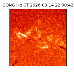 gong - 2026-03-14T22:00:42