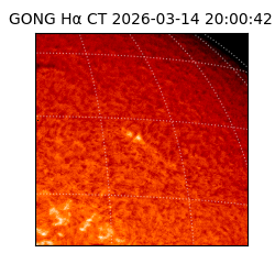 gong - 2026-03-14T20:00:42