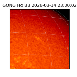 gong - 2026-03-14T23:00:02