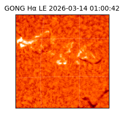 gong - 2026-03-14T01:00:42