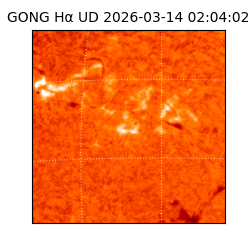 gong - 2026-03-14T02:04:02