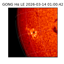 gong - 2026-03-14T01:00:42