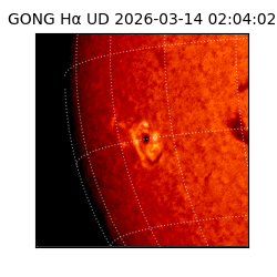 gong - 2026-03-14T02:04:02