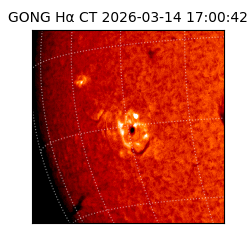 gong - 2026-03-14T17:00:42