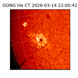 gong - 2026-03-14T22:00:42