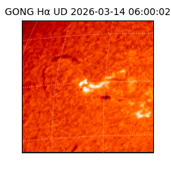 gong - 2026-03-14T06:00:02