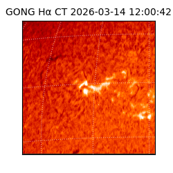 gong - 2026-03-14T12:00:42