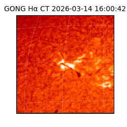 gong - 2026-03-14T16:00:42