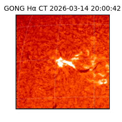 gong - 2026-03-14T20:00:42