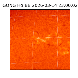 gong - 2026-03-14T23:00:02