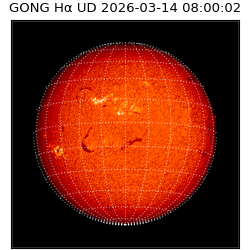 gong - 2026-03-14T08:00:02