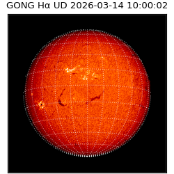 gong - 2026-03-14T10:00:02