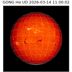 gong - 2026-03-14T11:00:02