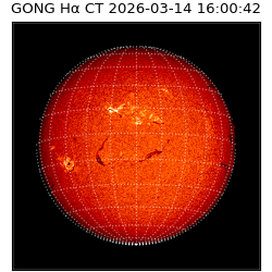 gong - 2026-03-14T16:00:42