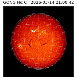 gong - 2026-03-14T21:00:42