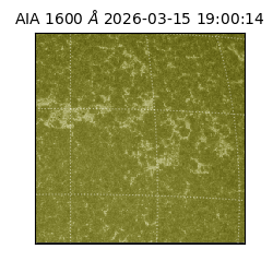 saia - 2026-03-15T19:00:14.122000