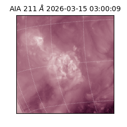 saia - 2026-03-15T03:00:09.623000