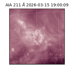 saia - 2026-03-15T19:00:09.632000