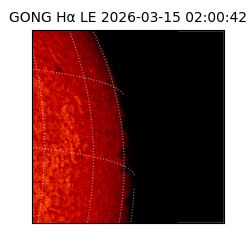 gong - 2026-03-15T02:00:42