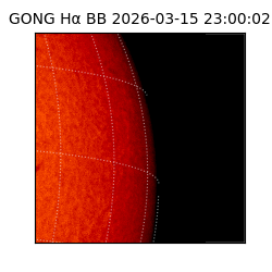 gong - 2026-03-15T23:00:02