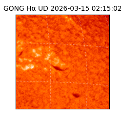 gong - 2026-03-15T02:15:02