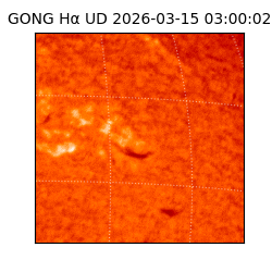 gong - 2026-03-15T03:00:02