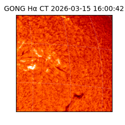 gong - 2026-03-15T16:00:42